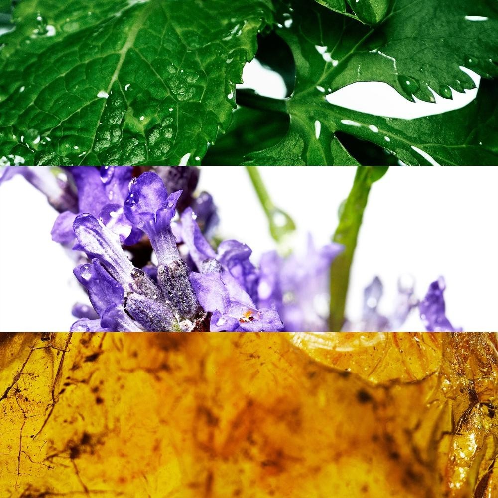 Davidoff Cool Water Aftershave 75ml