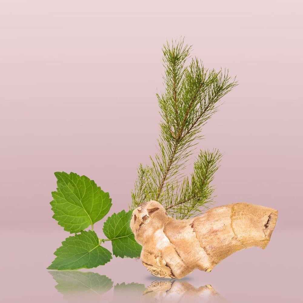 Calvin Klein Euphoria Deodorant Stick 75g