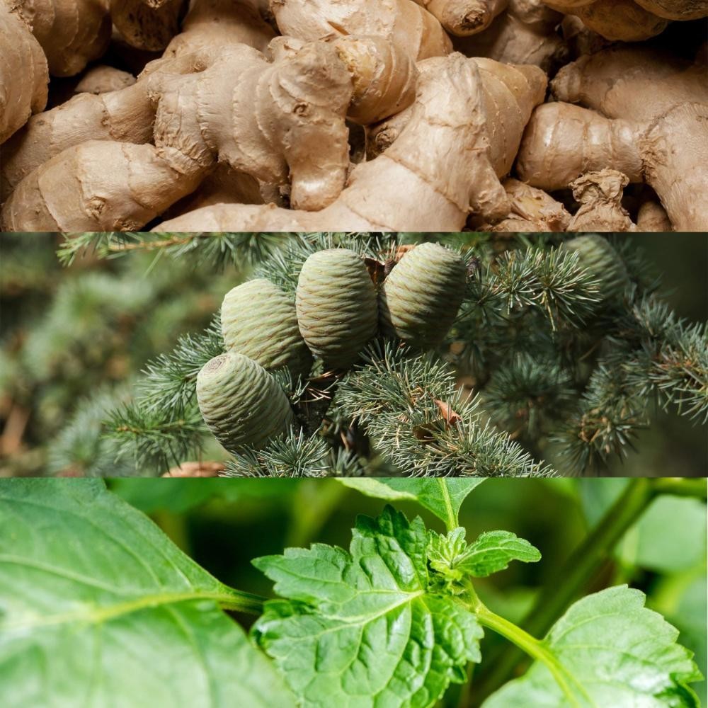 Calvin Klein Euphoria Deodorant Stick 75g